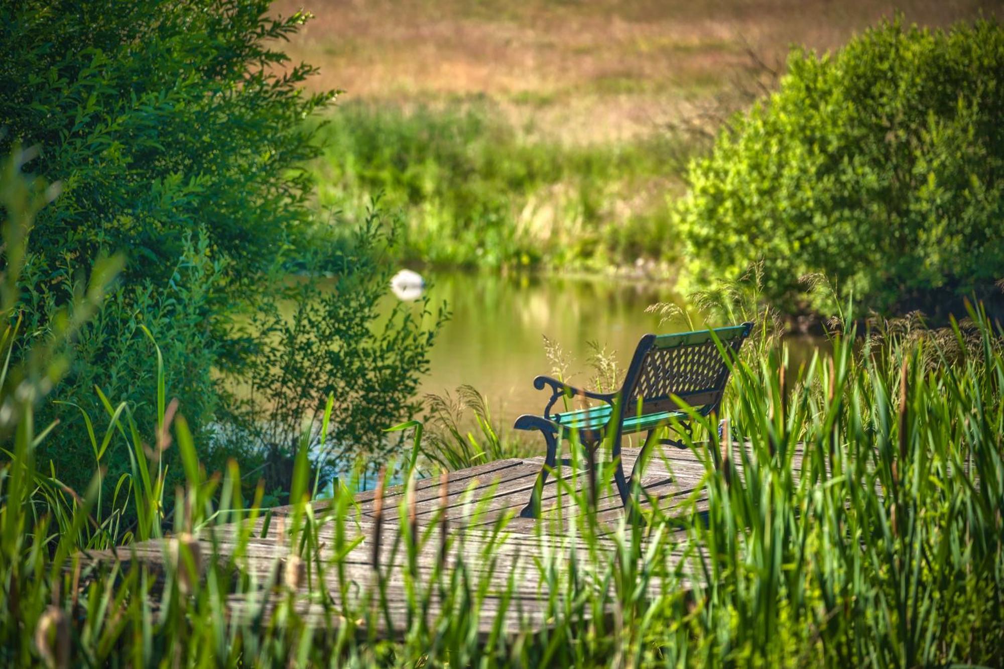 Jora Siedlisko Guest House Jora Wielka Екстериор снимка